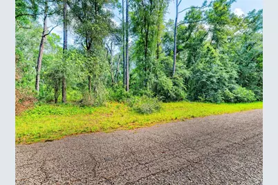 1135 E Odin Drive, Citrus Springs, FL 34434 - Photo 2