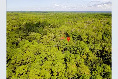 1163 E Odin Drive, Citrus Springs, FL 34434 - Photo 10