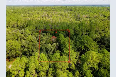 1163 E Odin Drive, Citrus Springs, FL 34434 - Photo 12