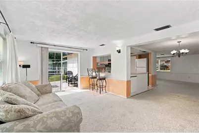 1110 E Boyer Street, Tarpon Springs, FL 34689 - Photo 16