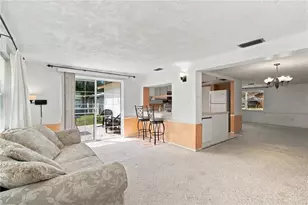1110 E Boyer St, Tarpon Springs, FL 34689 - Photo 16