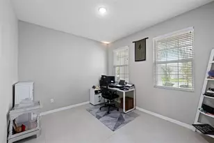 33503 Field Maple Loop, Wesley Chapel, FL 33545 - Photo 12