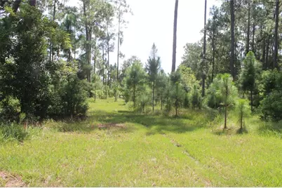 0 US Highway 98 W, Frostproof, FL 33843 - Photo 8