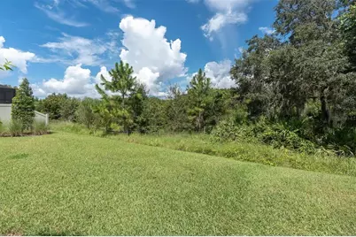 13659 Stansil Avenue, Odessa, FL 33556 - Photo 34
