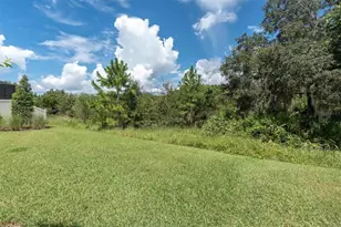 13659 Stansil Ave, Odessa, FL 33556 - Photo 34