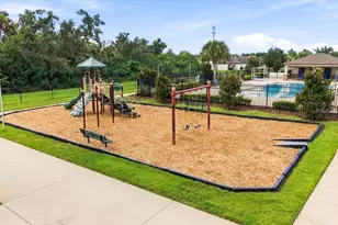 810 Chatham Walk Dr, Ruskin, FL 33570 - Photo 40