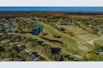 3380 Crystal Court E #P, Palm Harbor, FL 34685 - Photo 42