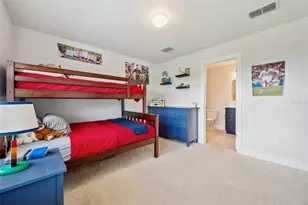 18144 Frame Bend, Land O Lakes, FL 34638 - Photo 22