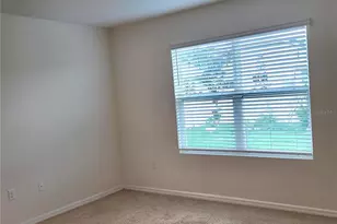 10836 Trailing Vine Dr, Tampa, FL 33610 - Photo 16