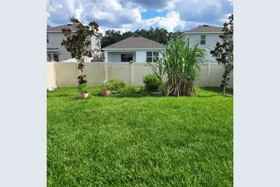 10836 Trailing Vine Drive, Tampa, FL 33610 - Photo 20