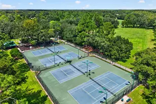 9136 Highland Ridge Way, Tampa, FL 33647 - Photo 54