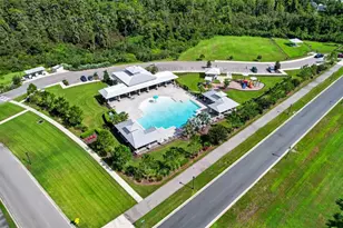 18333 Turning Leaf Cir, Land O Lakes, FL 34638 - Photo 40