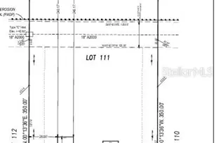 11169 Manor House Ln, Odessa, FL 33556 - Photo 34