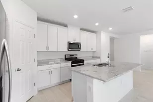 10846 Budding Blossom Ct, Parrish, FL 34219 - Photo 4