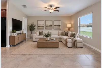 5005 White Chicory Drive, Apollo Beach, FL 33572 - Photo 16