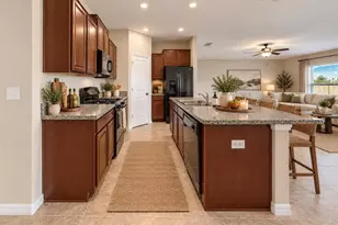 5005 White Chicory Dr, Apollo Beach, FL 33572 - Photo 14