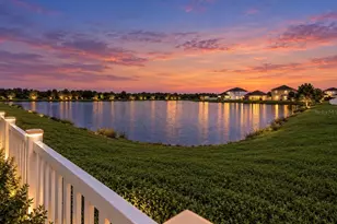 5005 White Chicory Dr, Apollo Beach, FL 33572 - Photo 34
