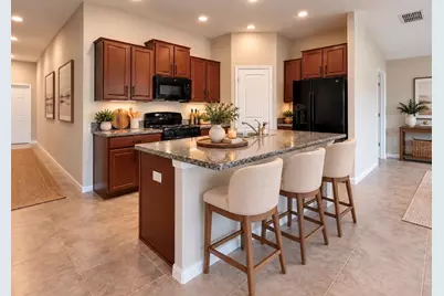 5005 White Chicory Drive, Apollo Beach, FL 33572 - Photo 10