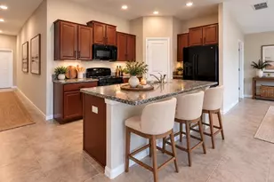 5005 White Chicory Dr, Apollo Beach, FL 33572 - Photo 10