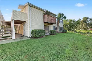 127 Camphor Dr, Oldsmar, FL 34677 - Photo 32