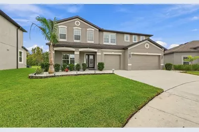31584 Colada Drift Way, Wesley Chapel, FL 33545 - Photo 1