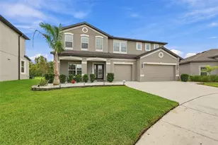 31584 Colada Drift Way, Wesley Chapel, FL 33545 - Photo 1