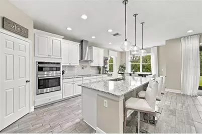31584 Colada Drift Way, Wesley Chapel, FL 33545 - Photo 2
