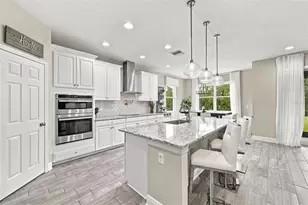 31584 Colada Drift Way, Wesley Chapel, FL 33545 - Photo 2
