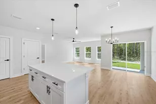 13014 Downy Woodpecker Rd, Weeki Wachee, FL 34614 - Photo 8
