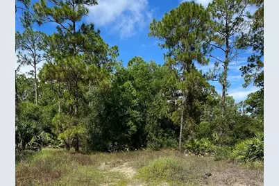12 Monroe Avenue, Lehigh Acres, FL 33936 - Photo 4