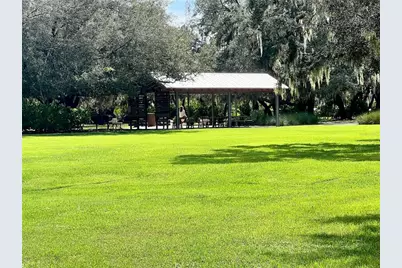 4264 Burdick Loop, Odessa, FL 33556 - Photo 28