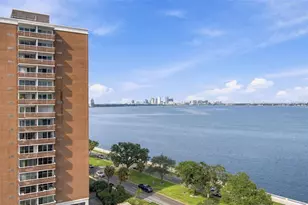 4141 Bayshore Blvd, Tampa, FL 33611 - Photo 44