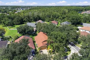 19014 Silverbrook Dr, Tampa, FL 33647 - Photo 60