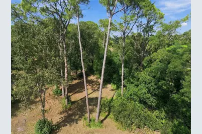 867 Sunset Lane, Lutz, FL 33549 - Photo 24