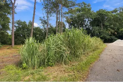 867 Sunset Lane, Lutz, FL 33549 - Photo 8