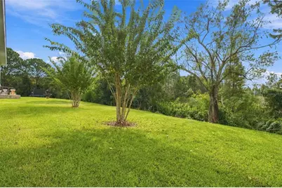 30444 Pecan Valley Loop, Wesley Chapel, FL 33543 - Photo 34