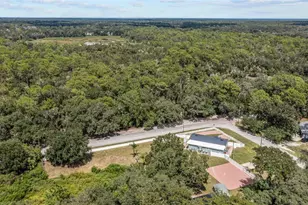 15124 N 19th St, Lutz, FL 33549 - Photo 60