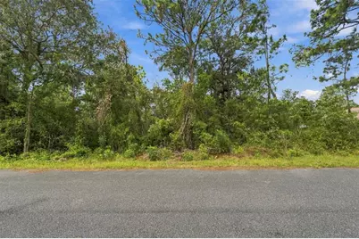 . Indigo Bunting Road, Weeki Wachee, FL 34614 - Photo 8