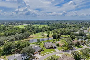 1409 Holleman, Valrico, FL 33596 - Photo 66