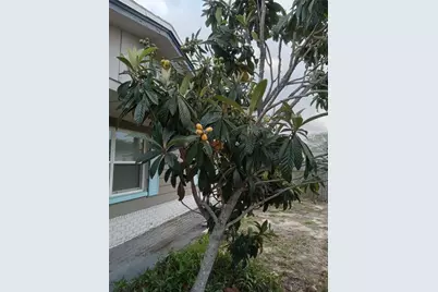3650 Peconic Way, Holiday, FL 34691 - Photo 10