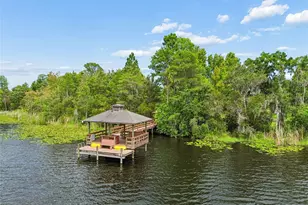 21444 Cormorant Cove Dr, Land O Lakes, FL 34637 - Photo 60