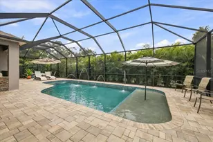 14245 Skipping Stone Loop, Parrish, FL 34219 - Photo 52