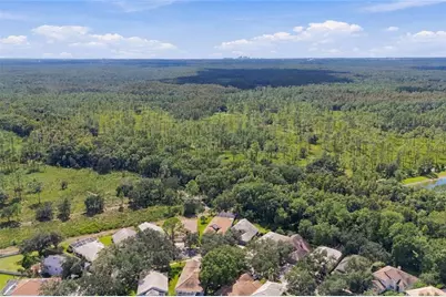 17704 Nathans Drive, Tampa, FL 33647 - Photo 40