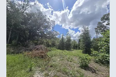 St. Paul Dr, Spring Hill, FL 34610 - Photo 2