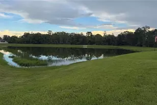 12218 Gothic Rd, Spring Hill, FL 34610 - Photo 18