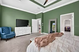 6127 Shadowlake Dr, Apollo Beach, FL 33572 - Photo 28