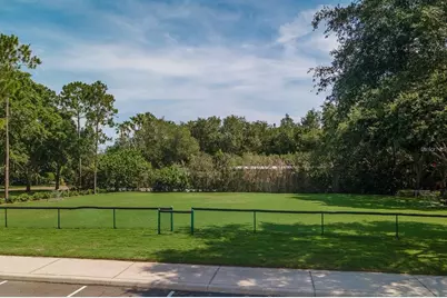 3951 Brightside Lane, Palm Harbor, FL 34685 - Photo 64