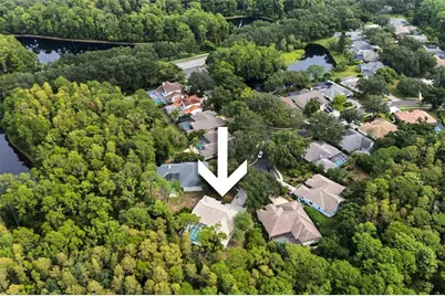 3951 Brightside Lane, Palm Harbor, FL 34685 - Photo 50