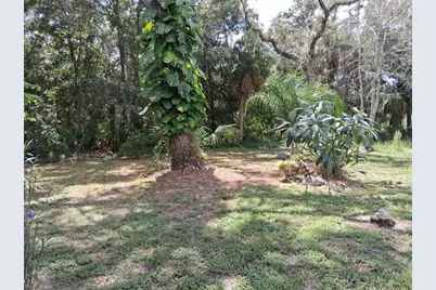 7926 Gulf Way, Hudson, FL 34667 - Photo 36