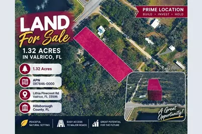 Lithia Pinecrest Road, Valrico, FL 33596 - Photo 6